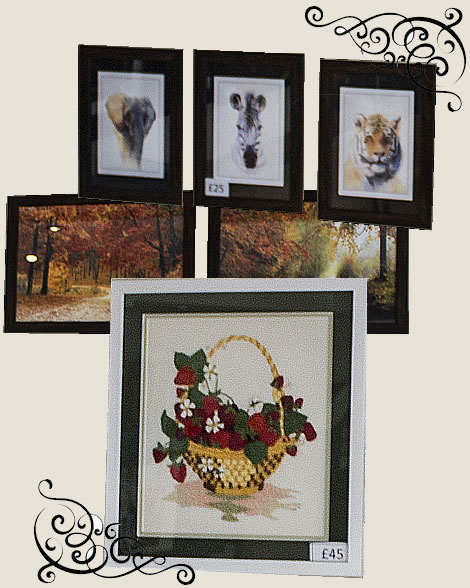 Sample pictures